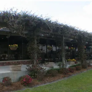 Hotel Quail Run, Savannah